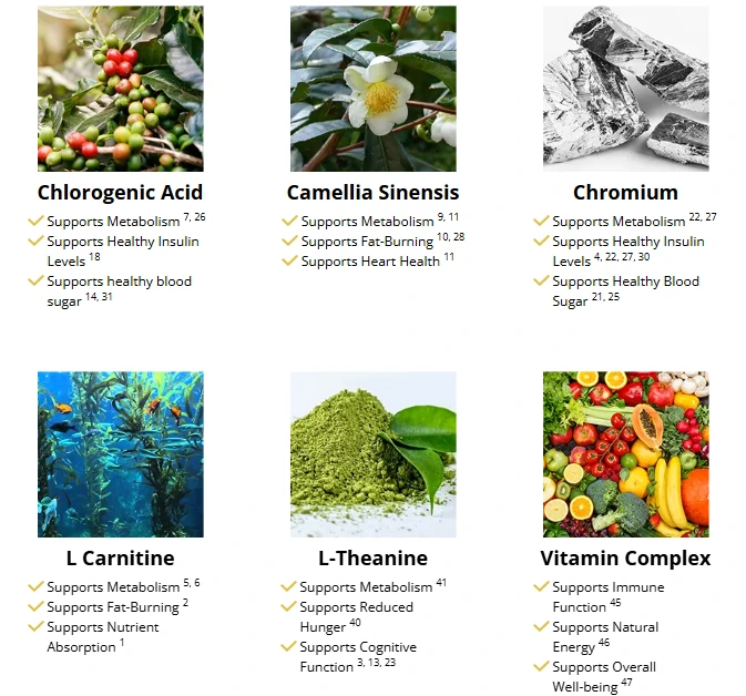 Advanced Formula Ingredients List